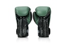 Fairtex Boxhandschuhe X Booster V2, Grün-Schwarz 4