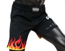 Fairtex Fight Shorts Burn AB12, Schwarz 2