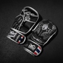 Phantom Sparring MMA Handschuhe Muay Thai LE, Schwarz-Silber 2