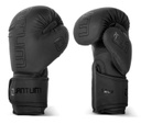 Quantum Boxing Gloves Q1, Black