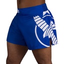 Hayabusa Fight Shorts Icon KB, Blau