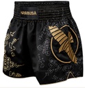 Hayabusa Muay Thai Shorts Falcon