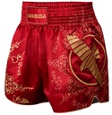 Hayabusa Muay Thai Shorts Falcon