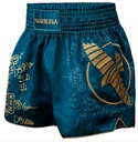 Hayabusa Muay Thai Shorts Falcon