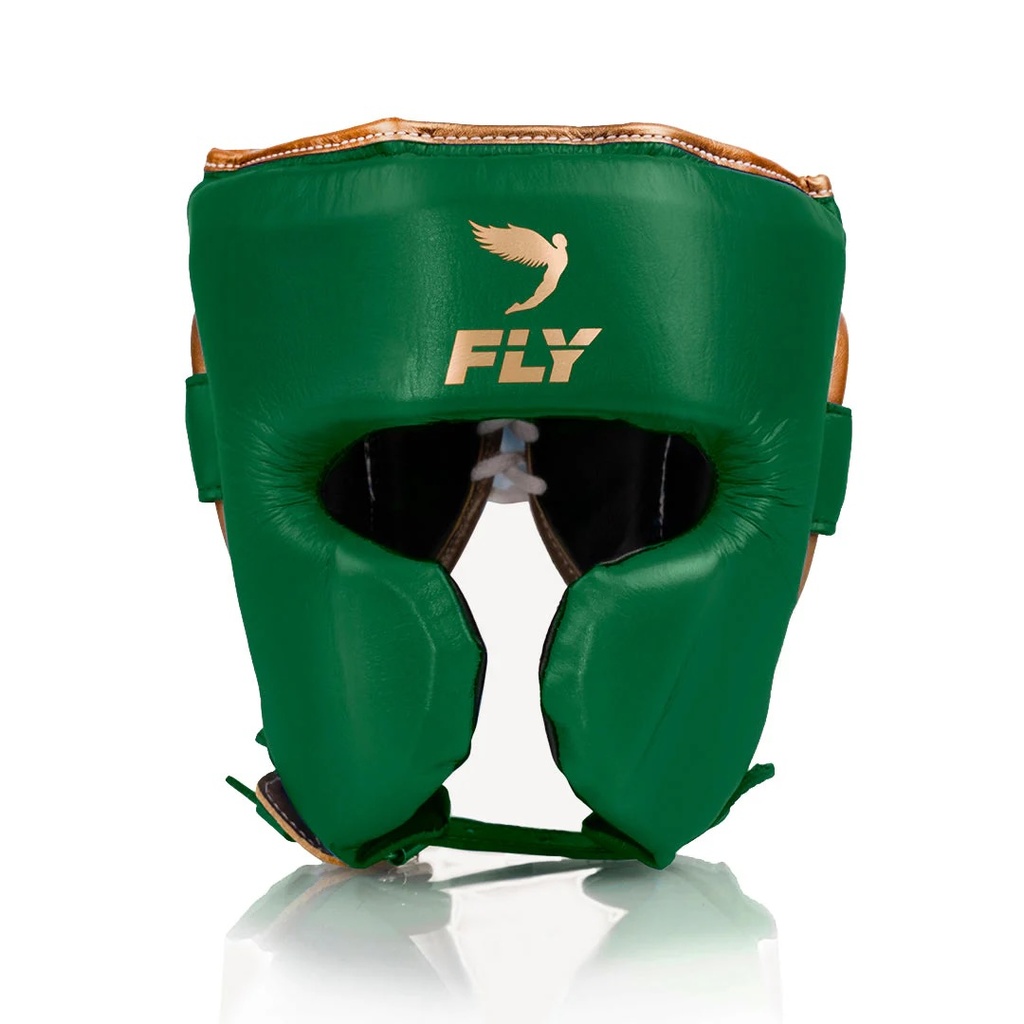 Fly Headgear Cheek Protector Knight X, Green-Gold