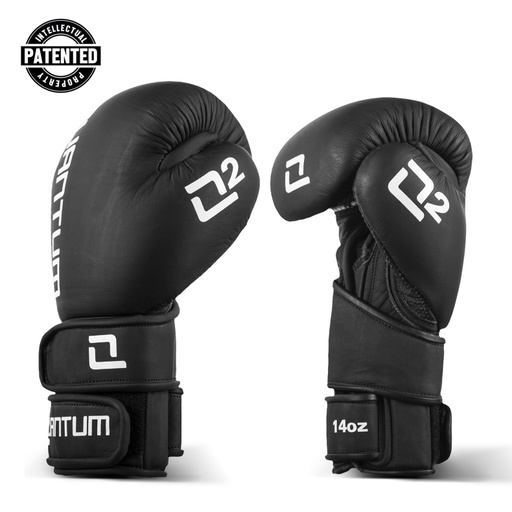 Quantum Boxing Gloves Q2X Leather