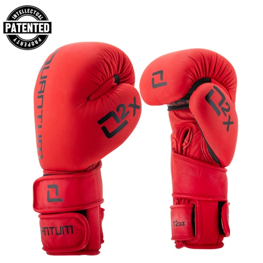 Quantum Boxing Gloves Q2X Leather