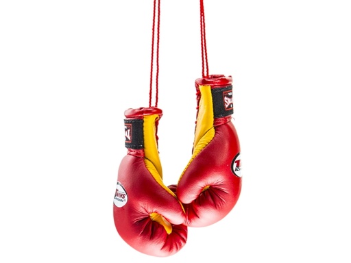 [MBG-1-R-GE] Twins Mini Boxing Gloves, Red-Yellow