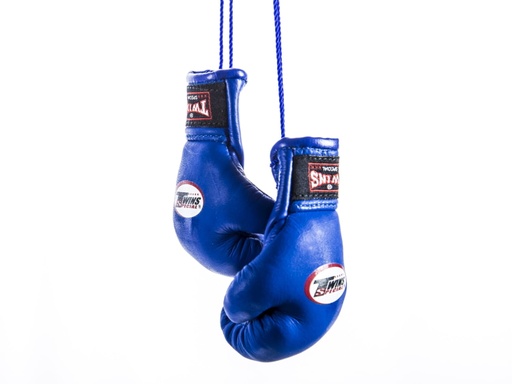 [MBG-1-B] Twins Mini Boxing Gloves, Blue